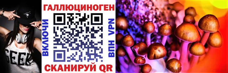 Псилоцибиновые грибы мицелий Междуреченск
