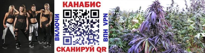 Бошки Шишки планчик Междуреченск
